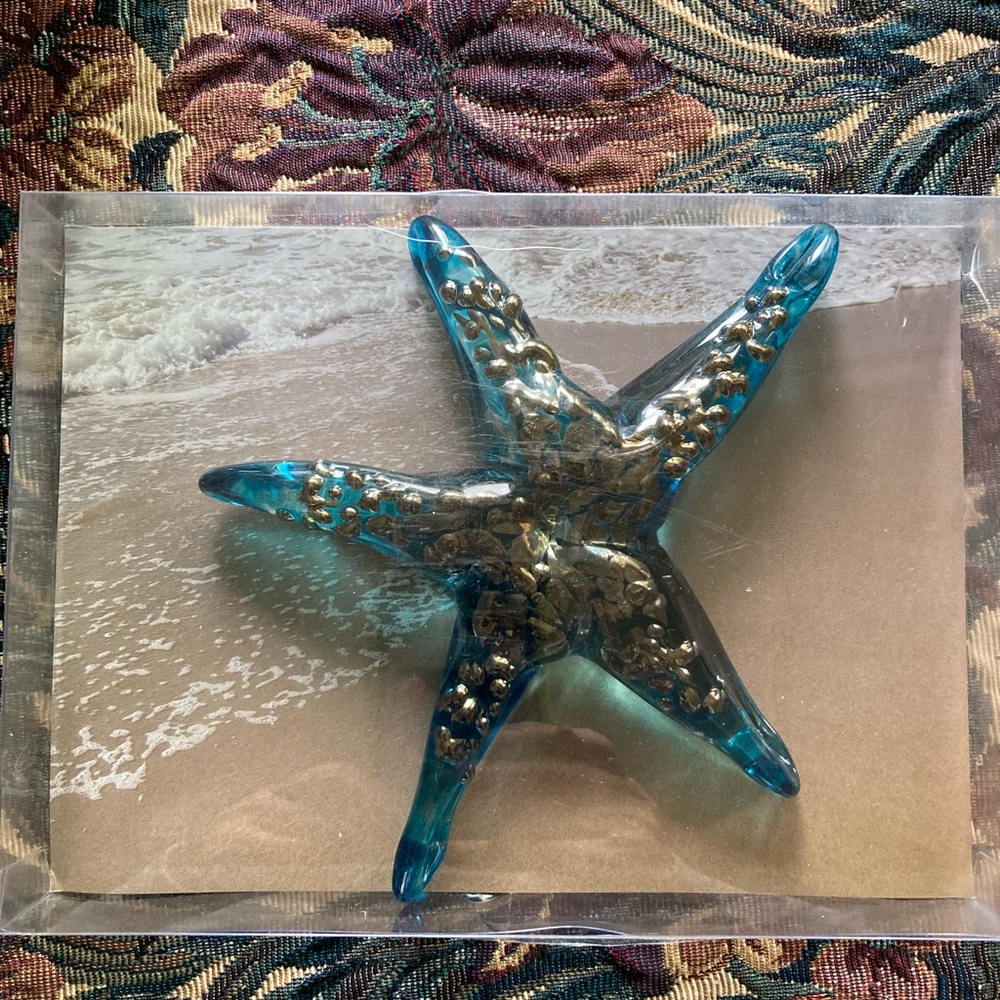 NIB glass starfish by John Barber.